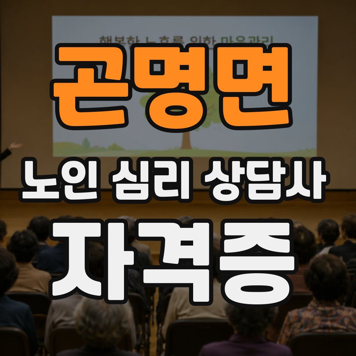 곤명면 노인 심리 상담사 자격증