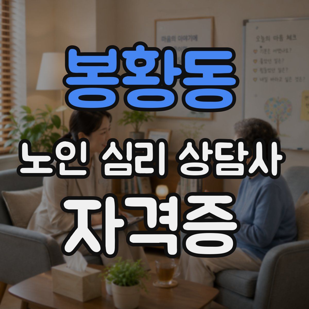 봉황동 노인 심리 상담사 자격증