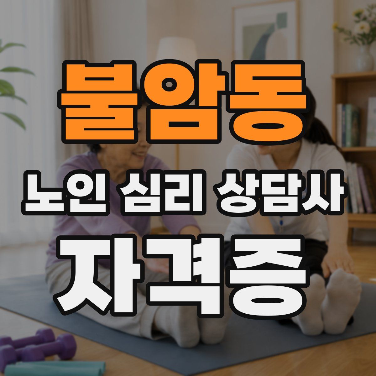불암동 노인 심리 상담사 자격증