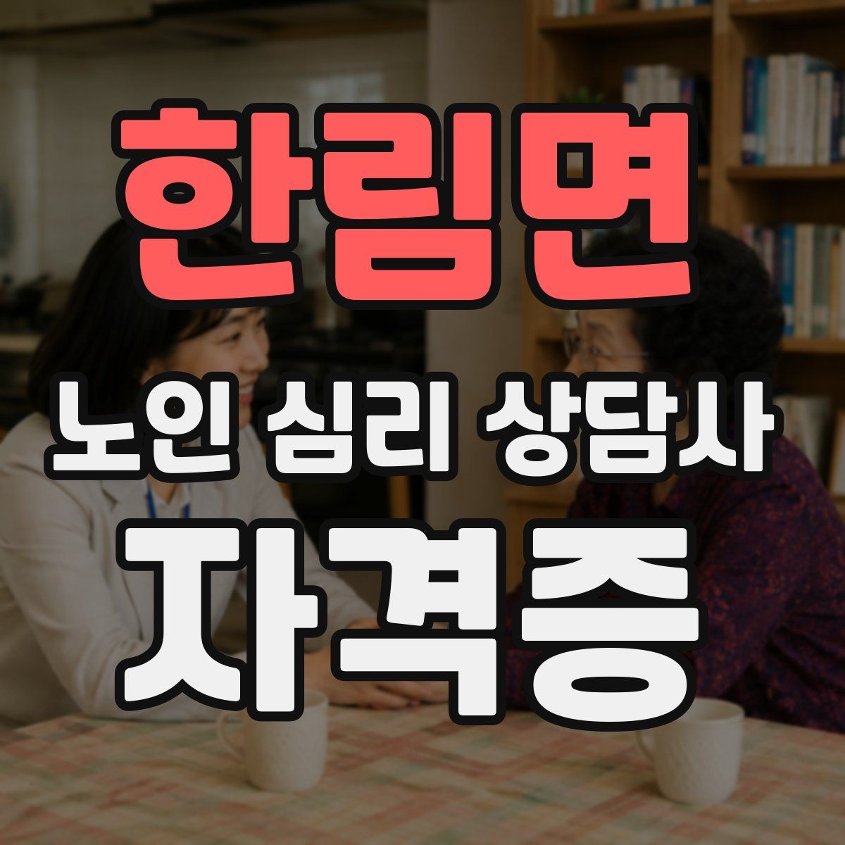 한림면 노인 심리 상담사 자격증