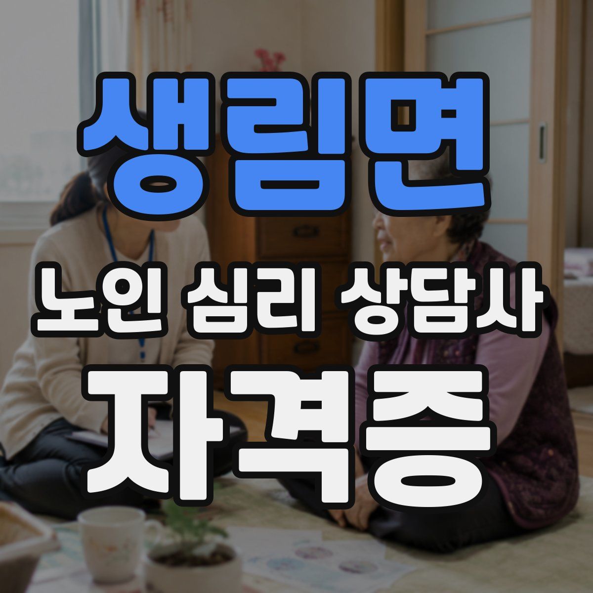 생림면 노인 심리 상담사 자격증