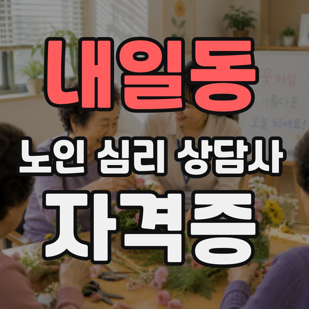 내일동 노인 심리 상담사 자격증