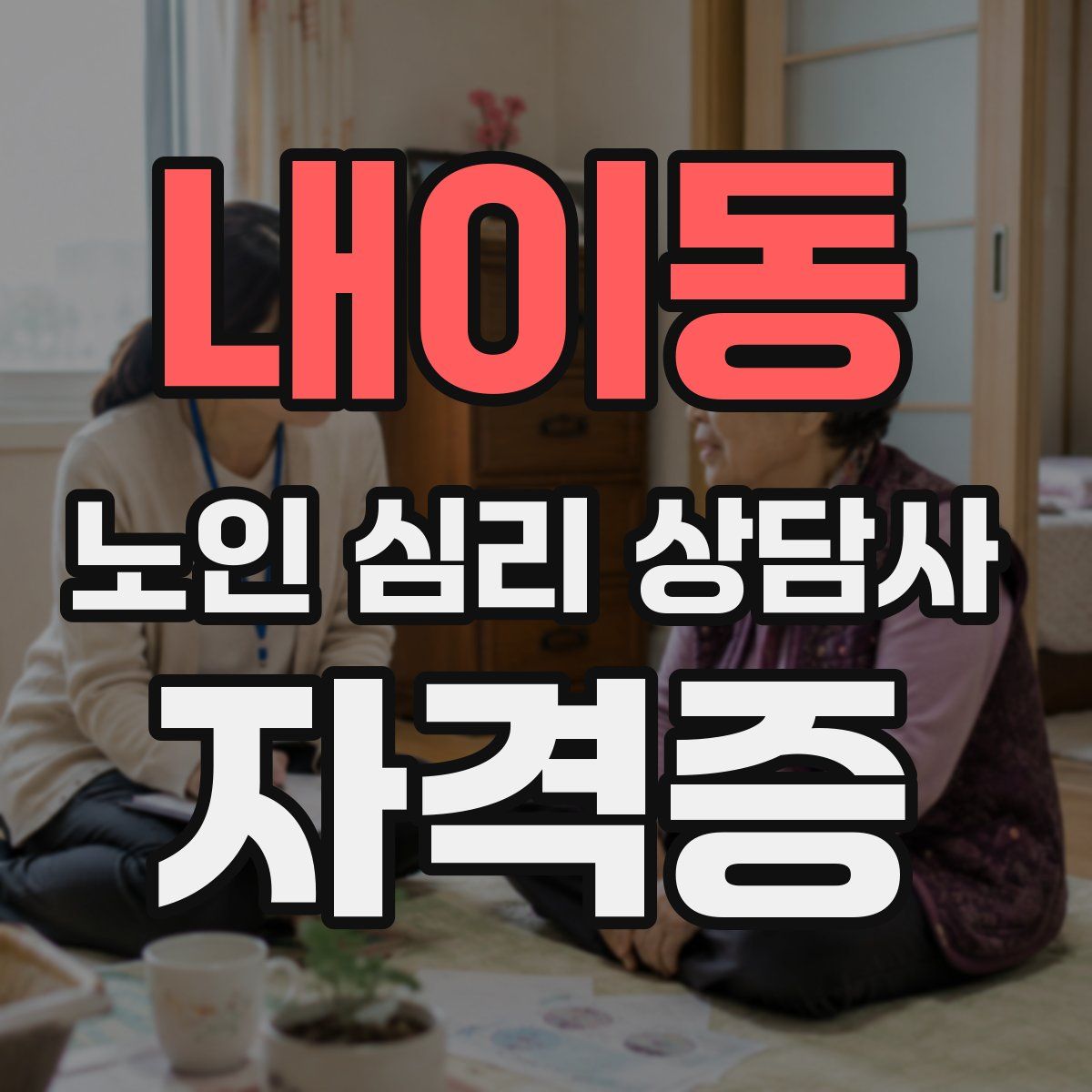 내이동 노인 심리 상담사 자격증