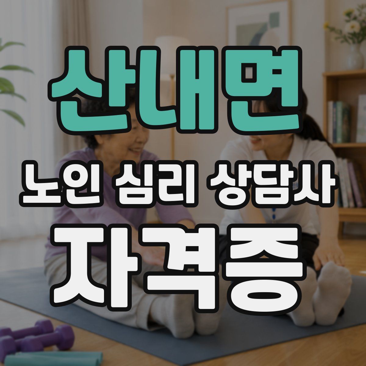 산내면 노인 심리 상담사 자격증