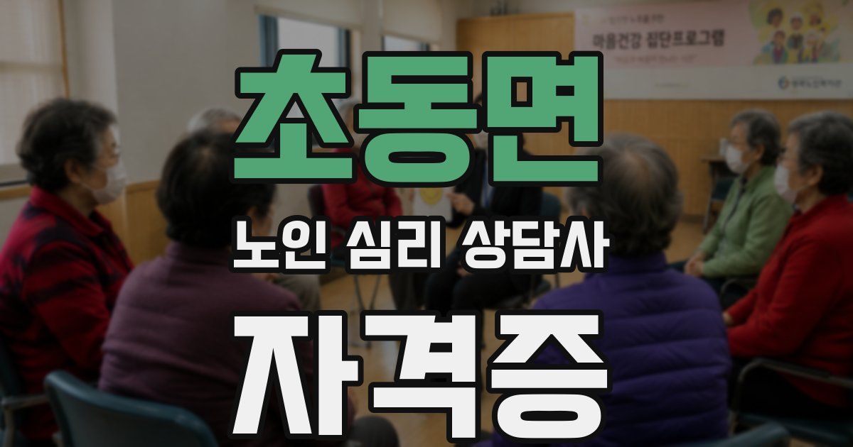 초동면 노인 심리 상담사 자격증