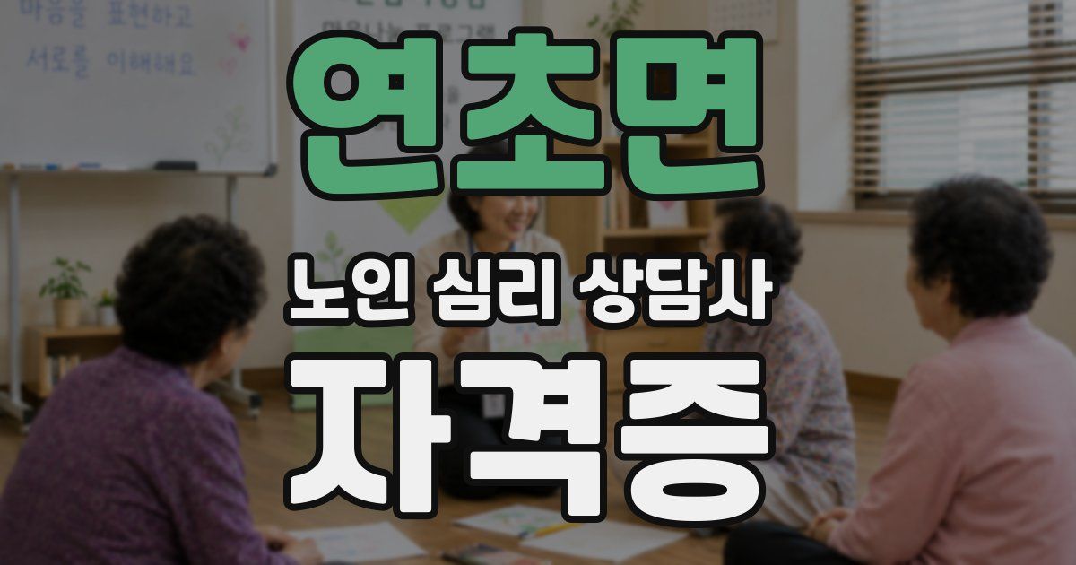 연초면 노인 심리 상담사 자격증