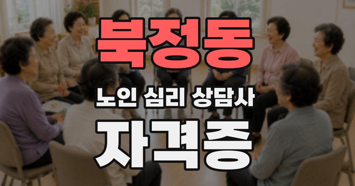북정동 노인 심리 상담사 자격증