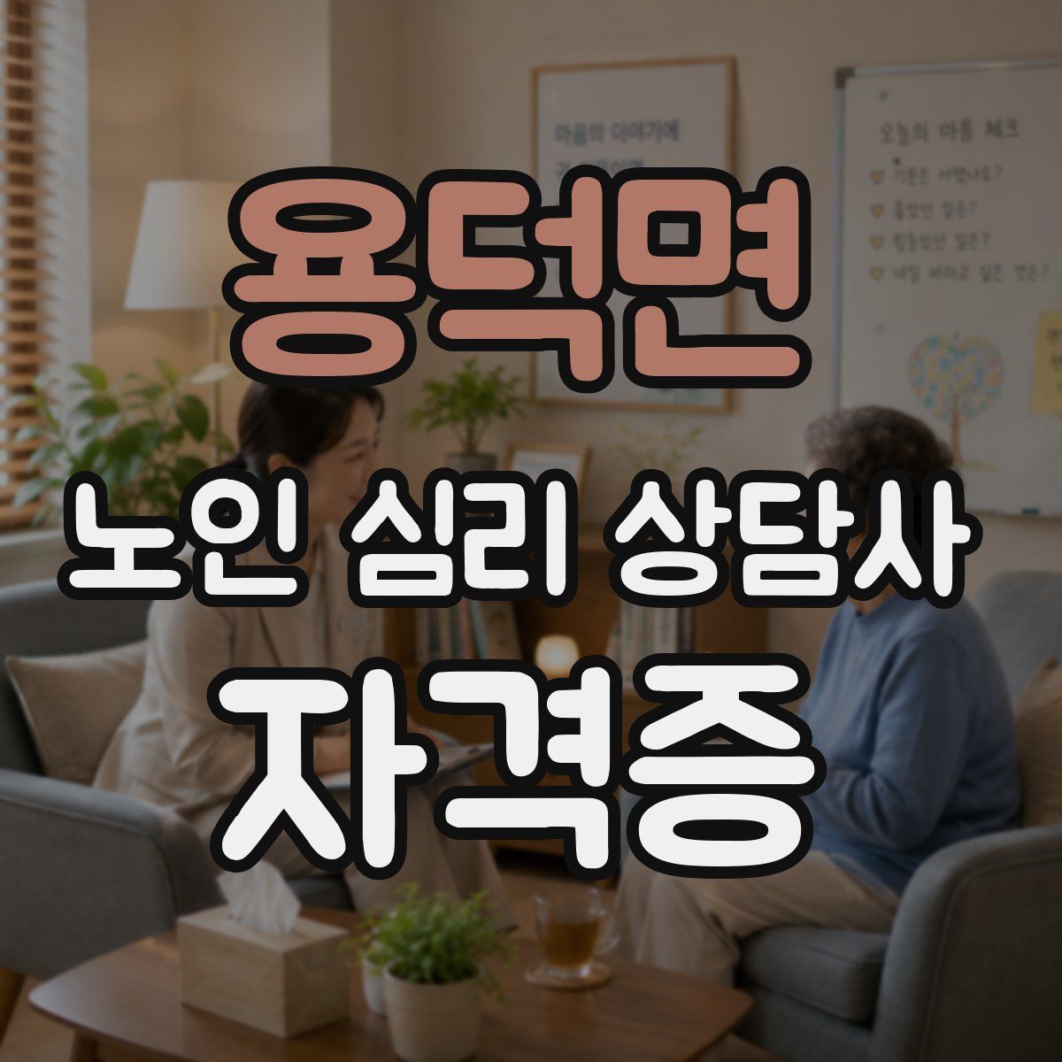 용덕면 노인 심리 상담사 자격증