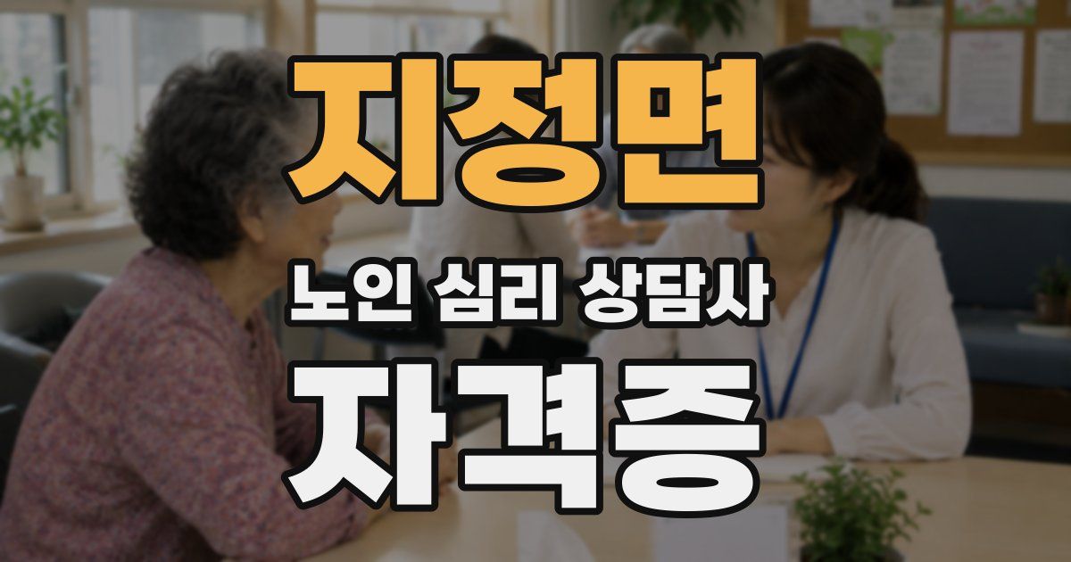 지정면 노인 심리 상담사 자격증