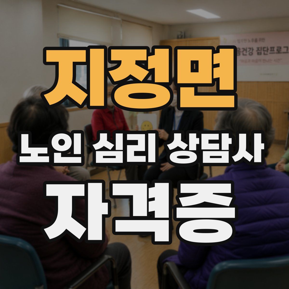 지정면 노인 심리 상담사 자격증