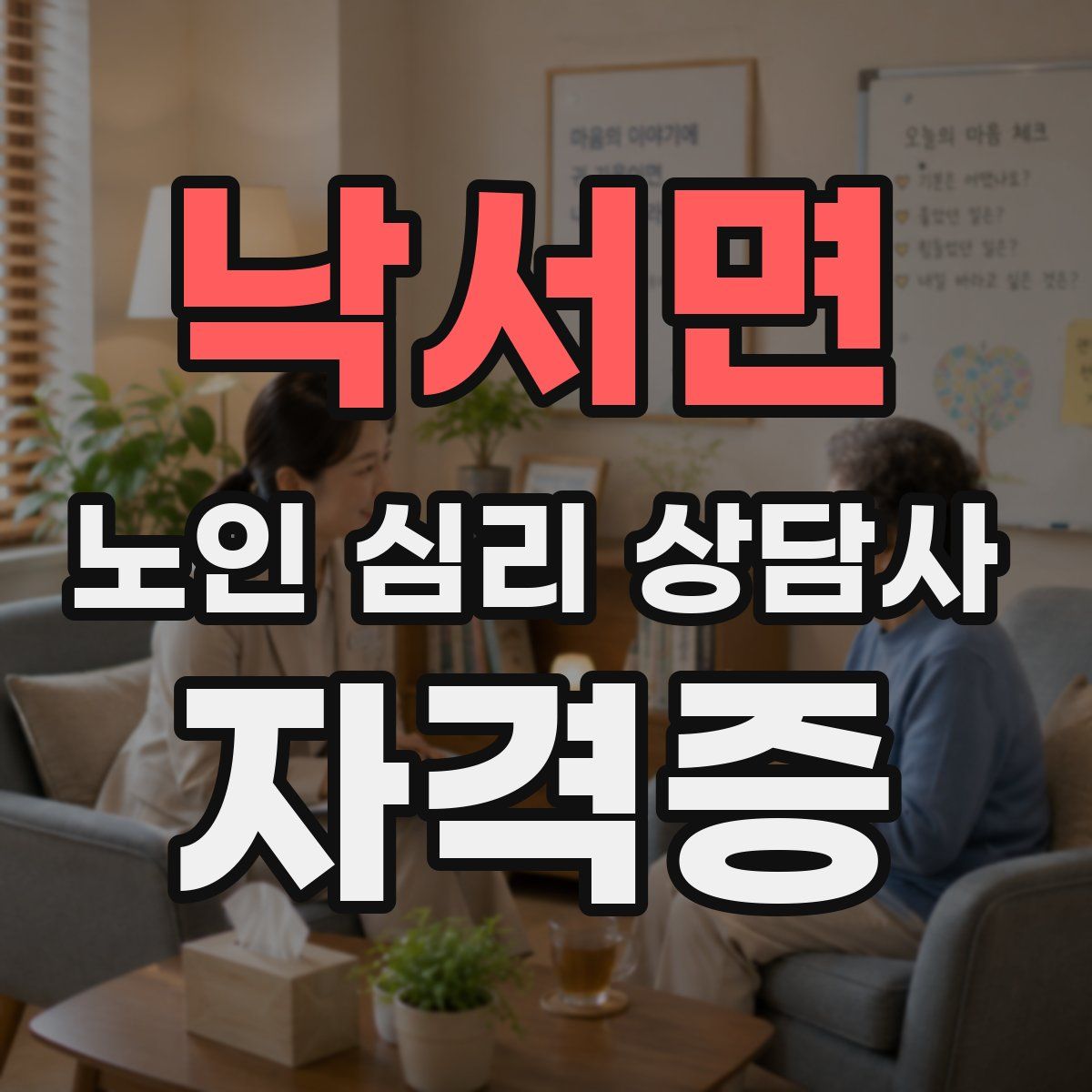 낙서면 노인 심리 상담사 자격증