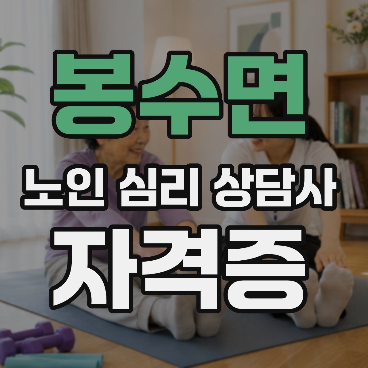 봉수면 노인 심리 상담사 자격증
