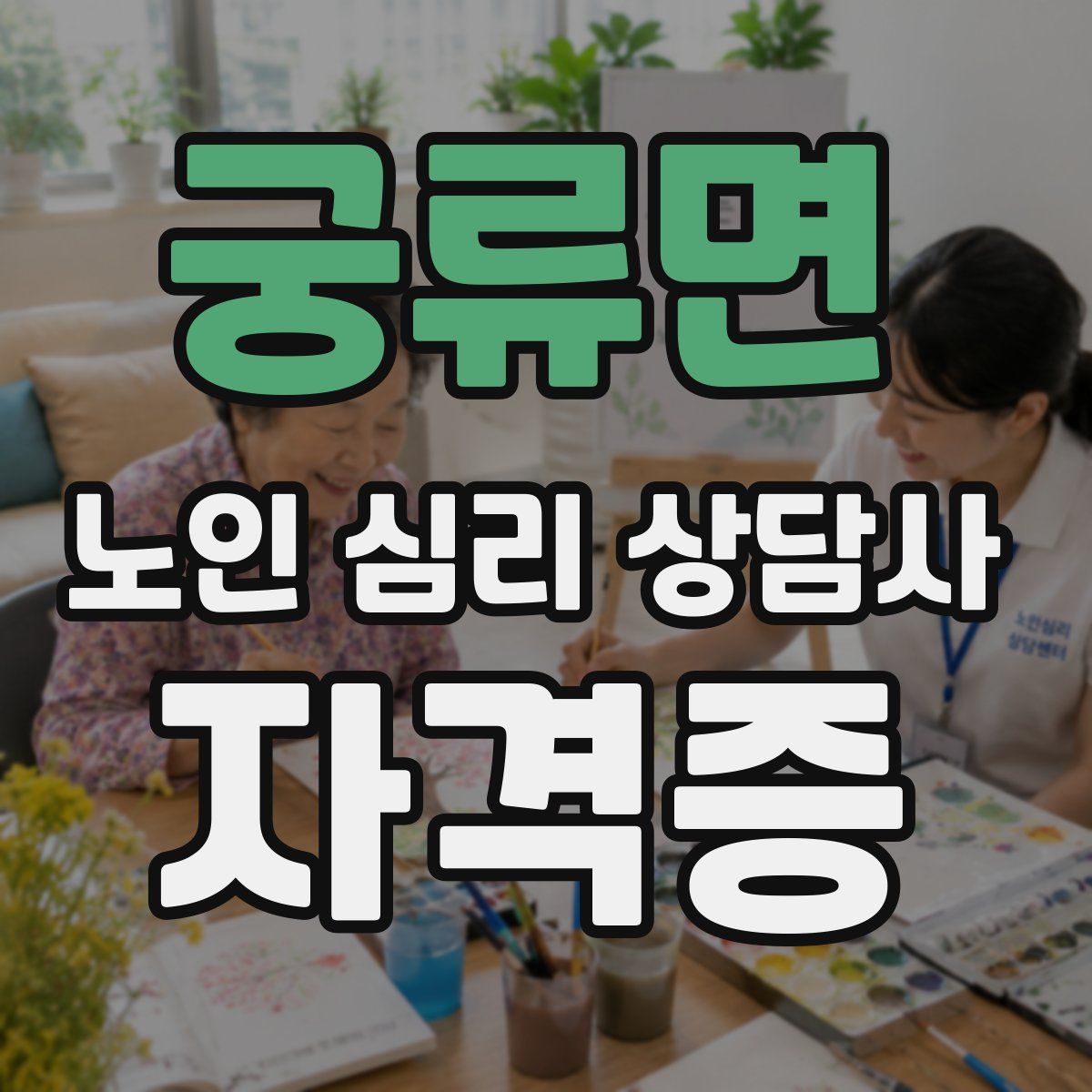 궁류면 노인 심리 상담사 자격증
