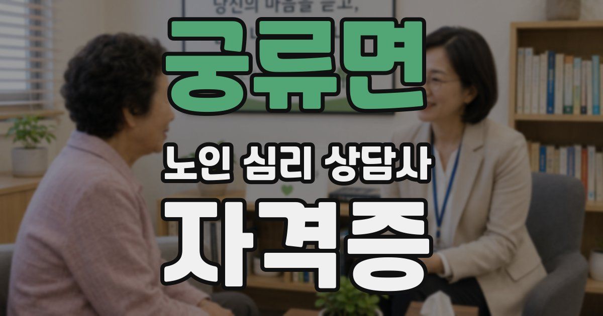 궁류면 노인 심리 상담사 자격증