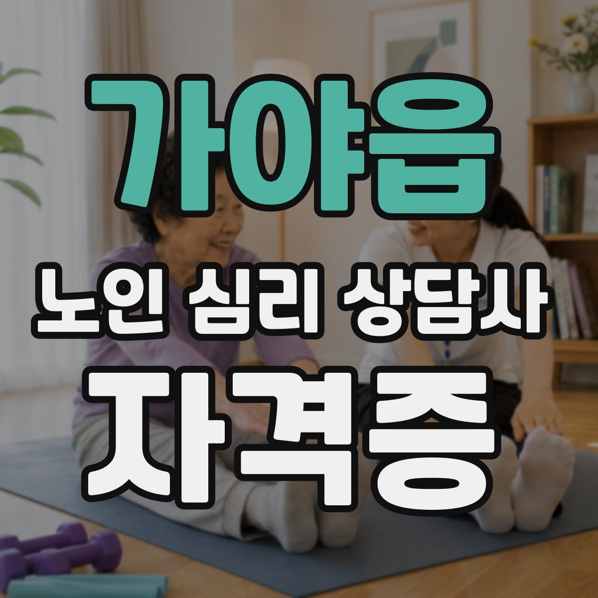 가야읍 노인 심리 상담사 자격증