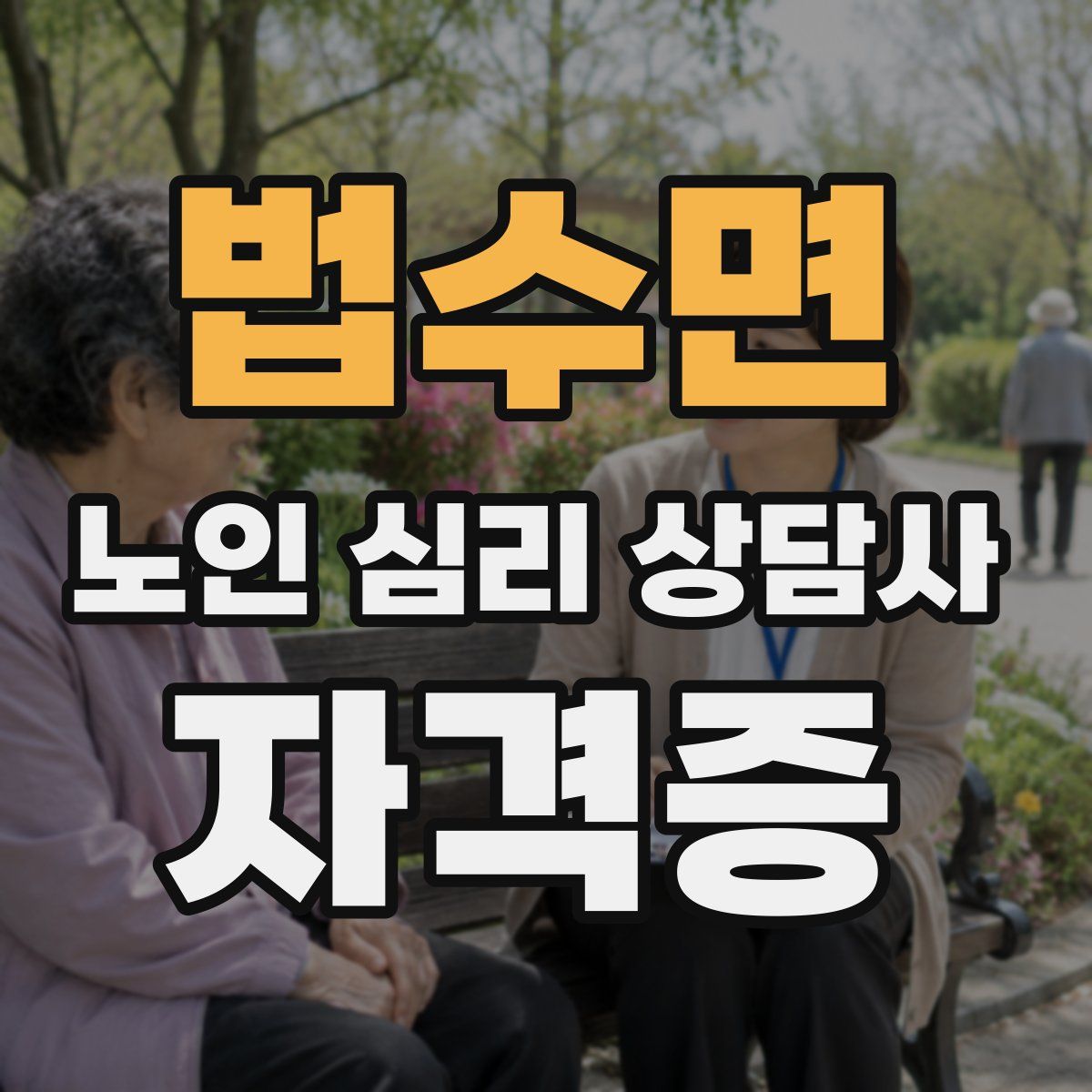 법수면 노인 심리 상담사 자격증