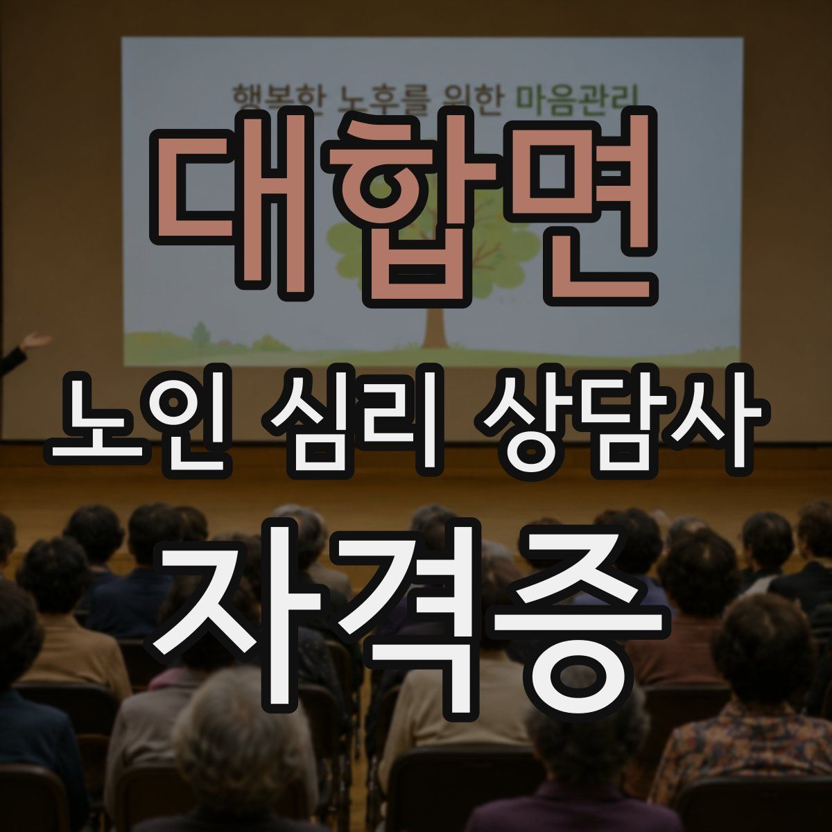 대합면 노인 심리 상담사 자격증