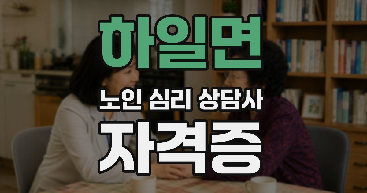 하일면 노인 심리 상담사 자격증
