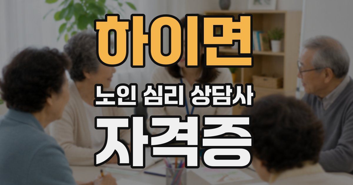 하이면 노인 심리 상담사 자격증