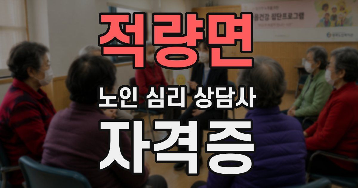 적량면 노인 심리 상담사 자격증
