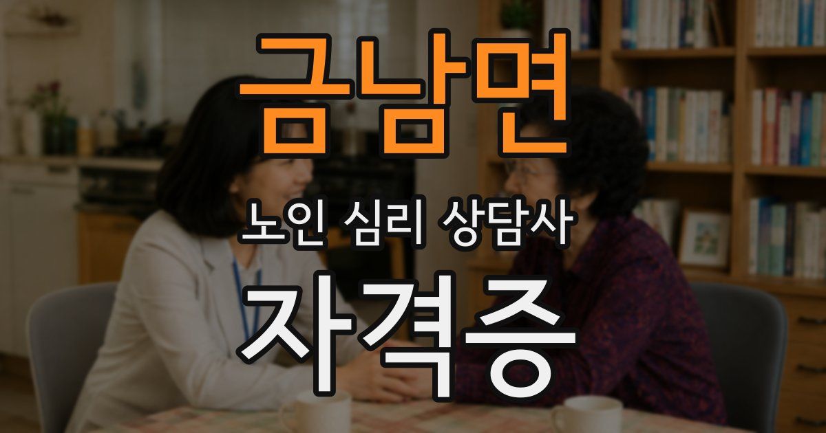 금남면 노인 심리 상담사 자격증