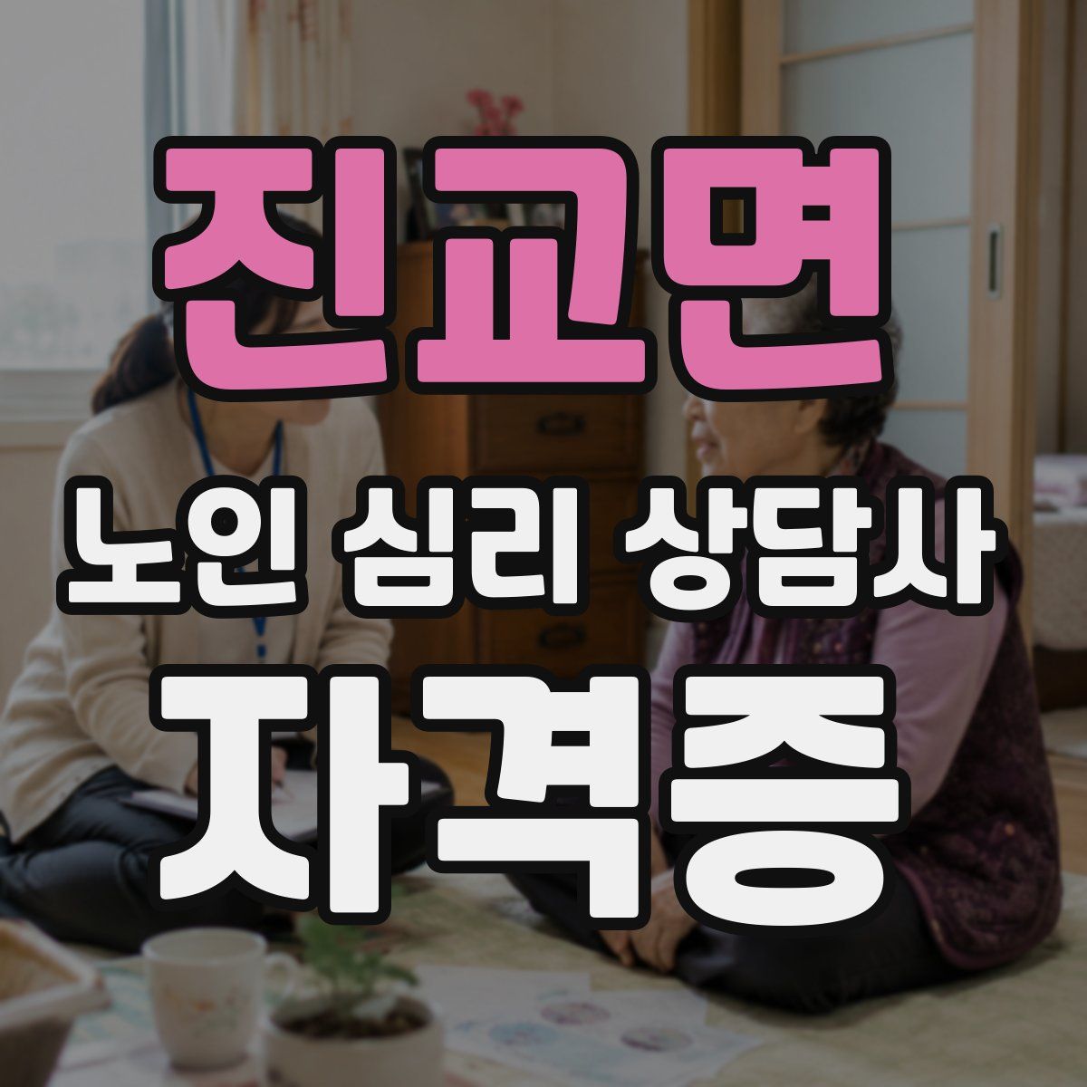 진교면 노인 심리 상담사 자격증
