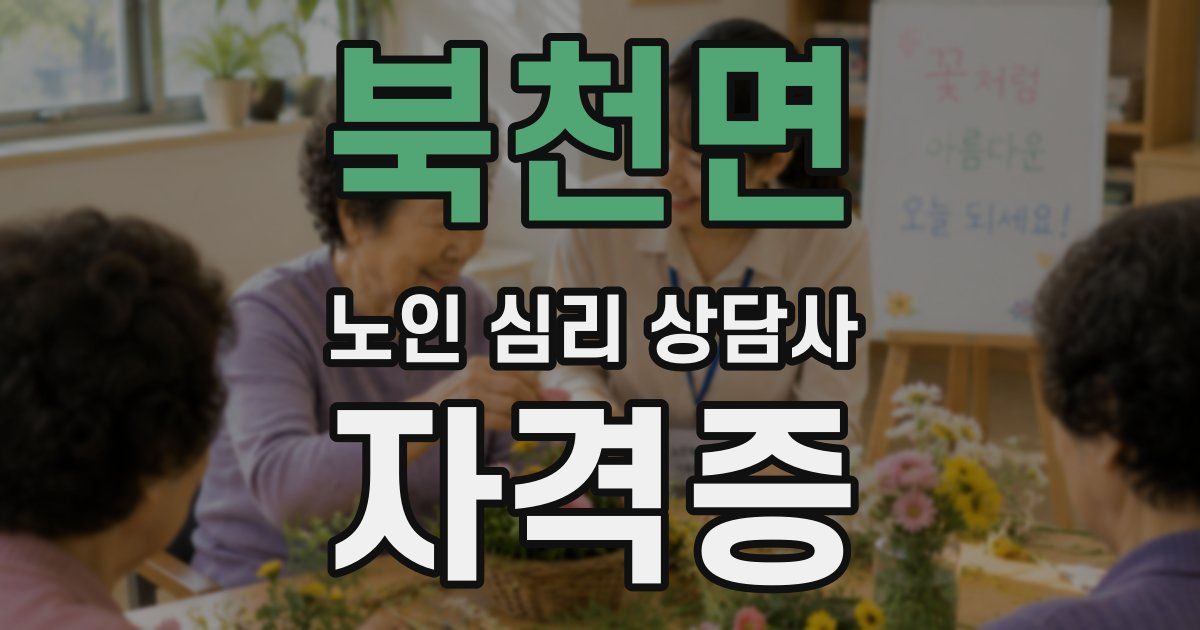 북천면 노인 심리 상담사 자격증