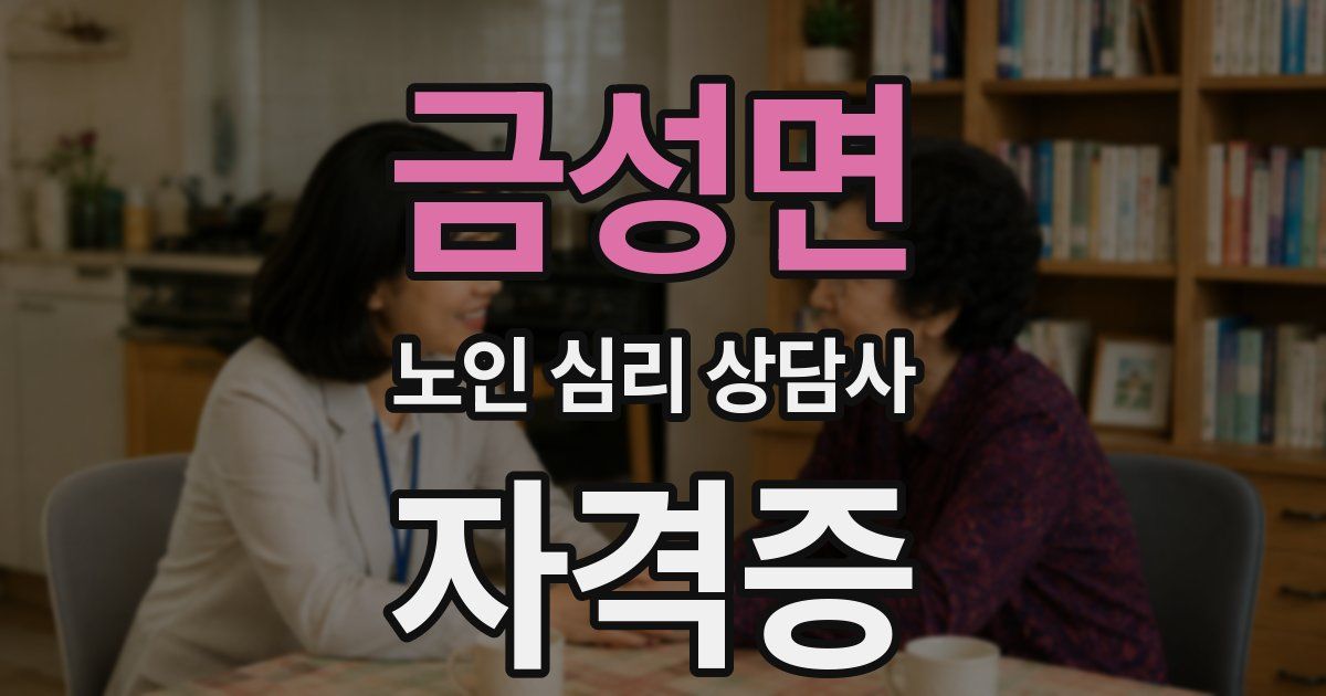 금성면 노인 심리 상담사 자격증