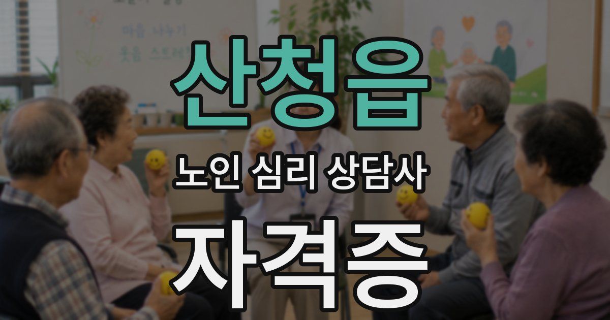 산청읍 노인 심리 상담사 자격증