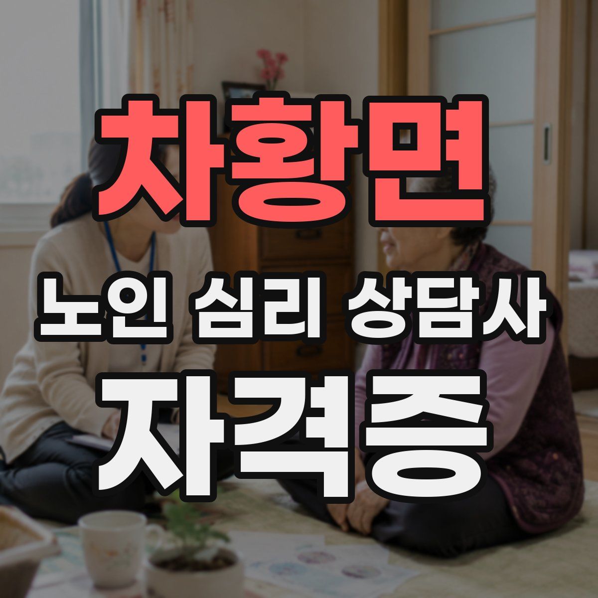 차황면 노인 심리 상담사 자격증