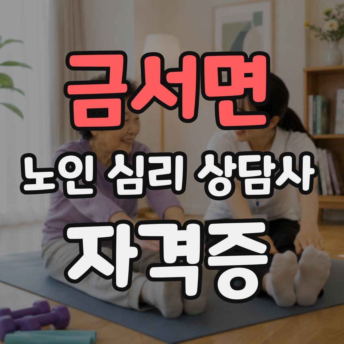 금서면 노인 심리 상담사 자격증