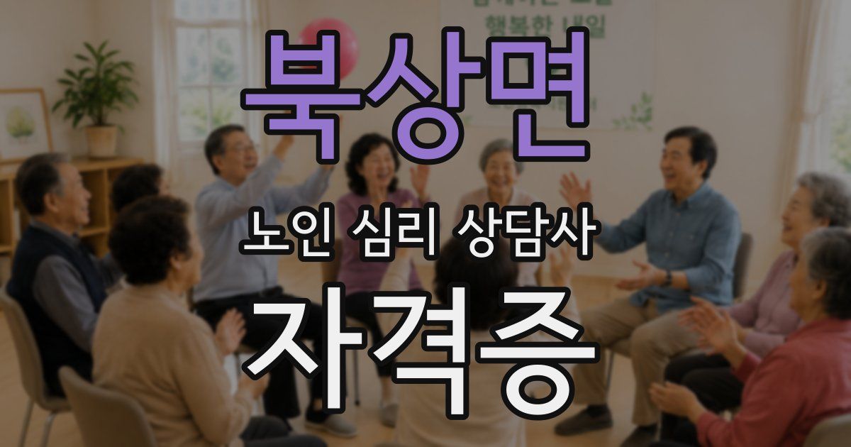 북상면 노인 심리 상담사 자격증