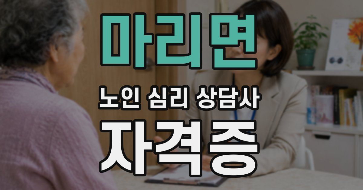 마리면 노인 심리 상담사 자격증