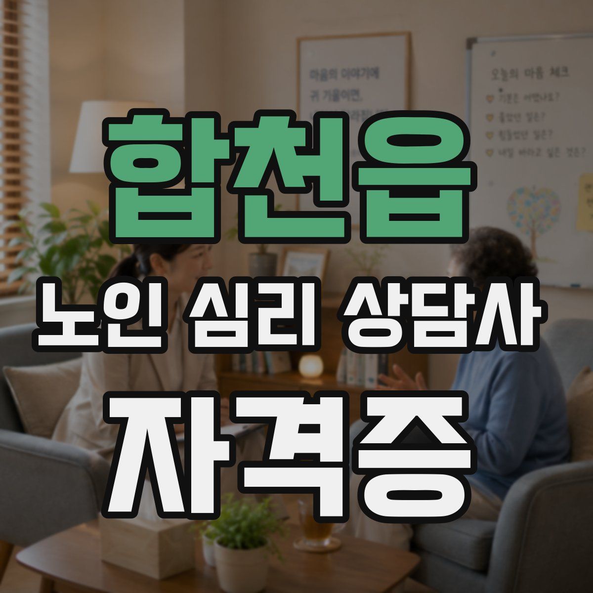 합천읍 노인 심리 상담사 자격증