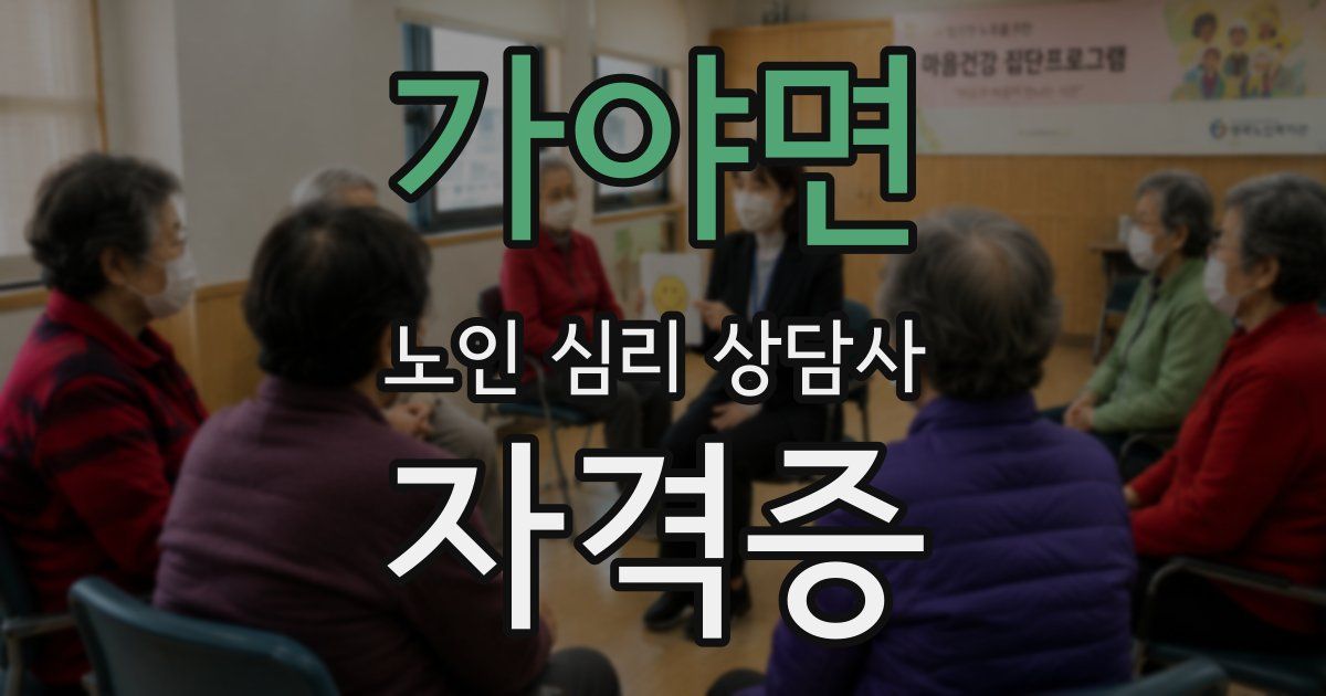가야면 노인 심리 상담사 자격증