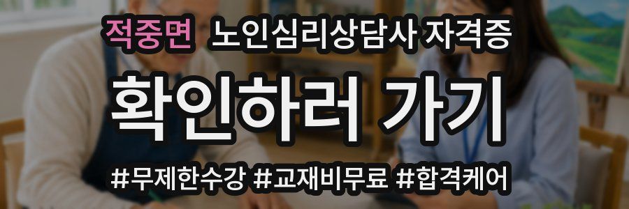 적중면 노인 심리 상담사 자격증