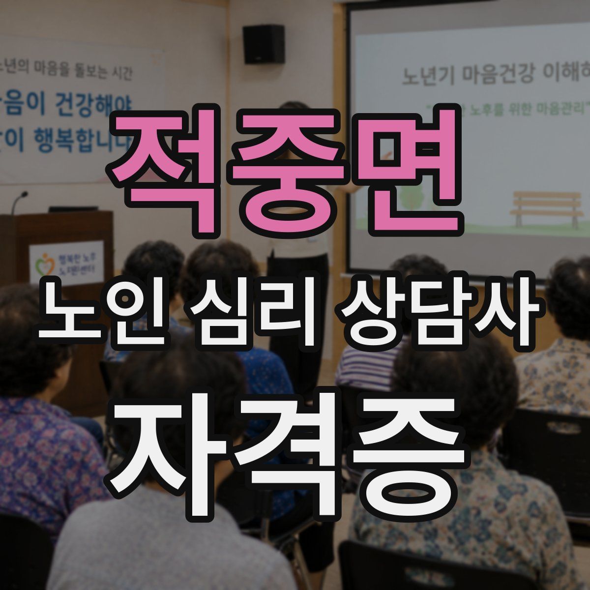 적중면 노인 심리 상담사 자격증