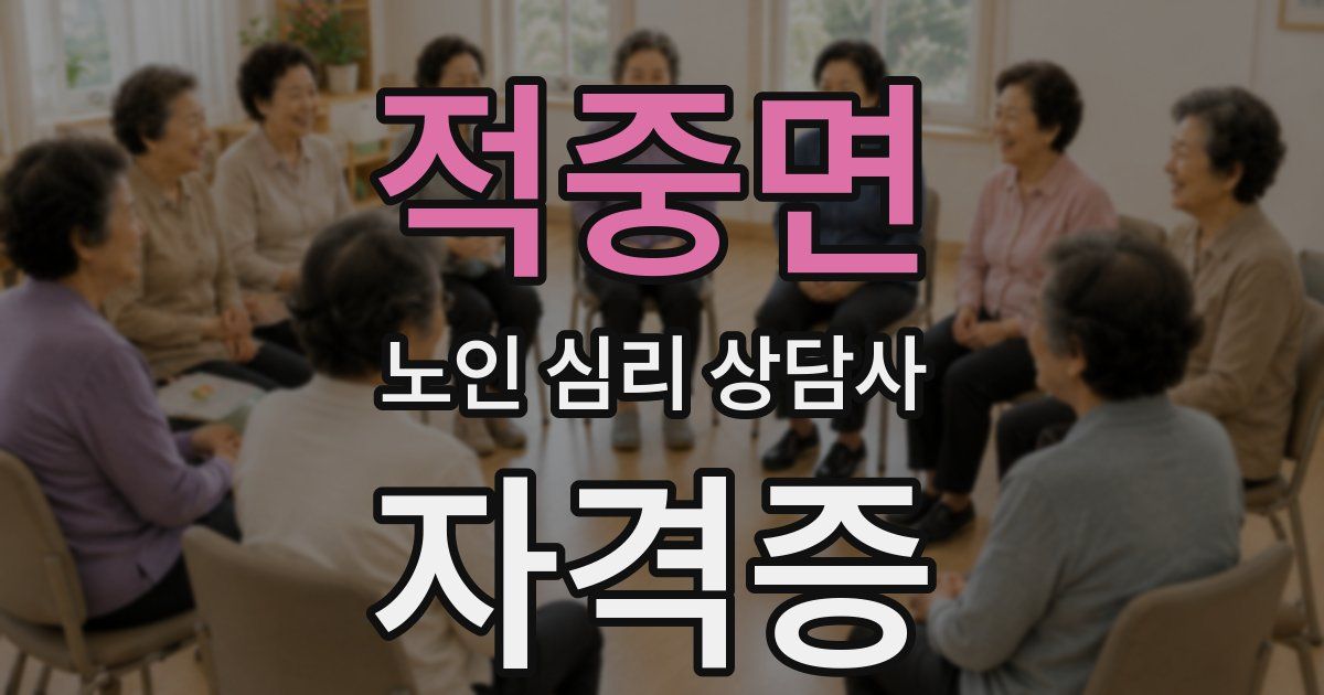 적중면 노인 심리 상담사 자격증