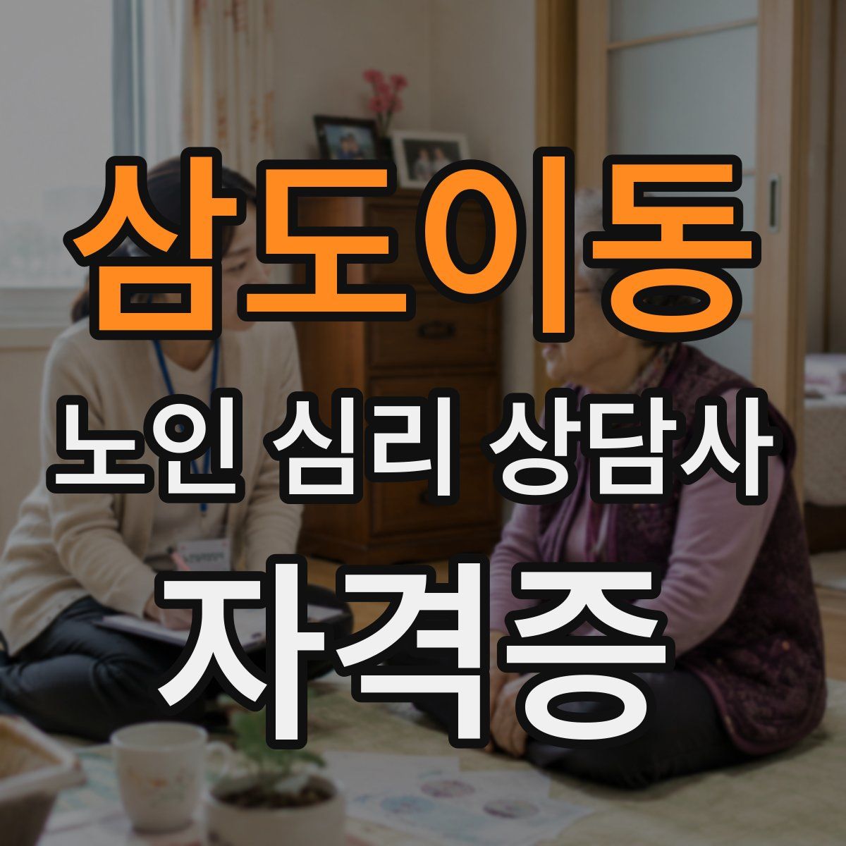 삼도이동 노인 심리 상담사 자격증