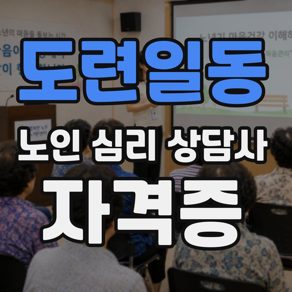 도련일동 노인 심리 상담사 자격증