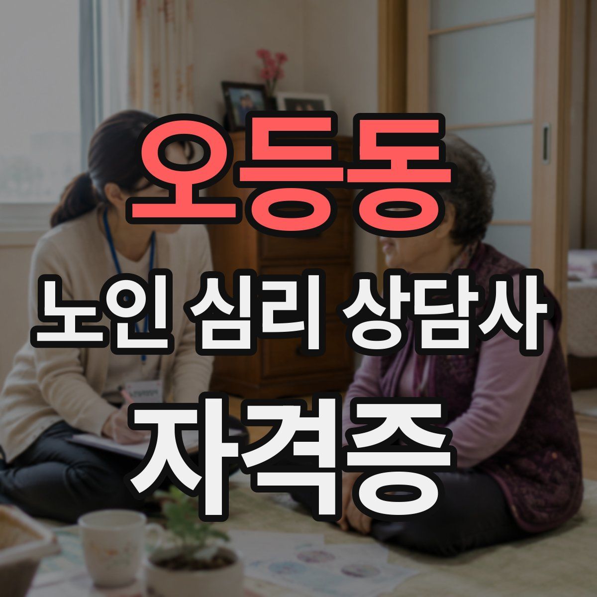 오등동 노인 심리 상담사 자격증