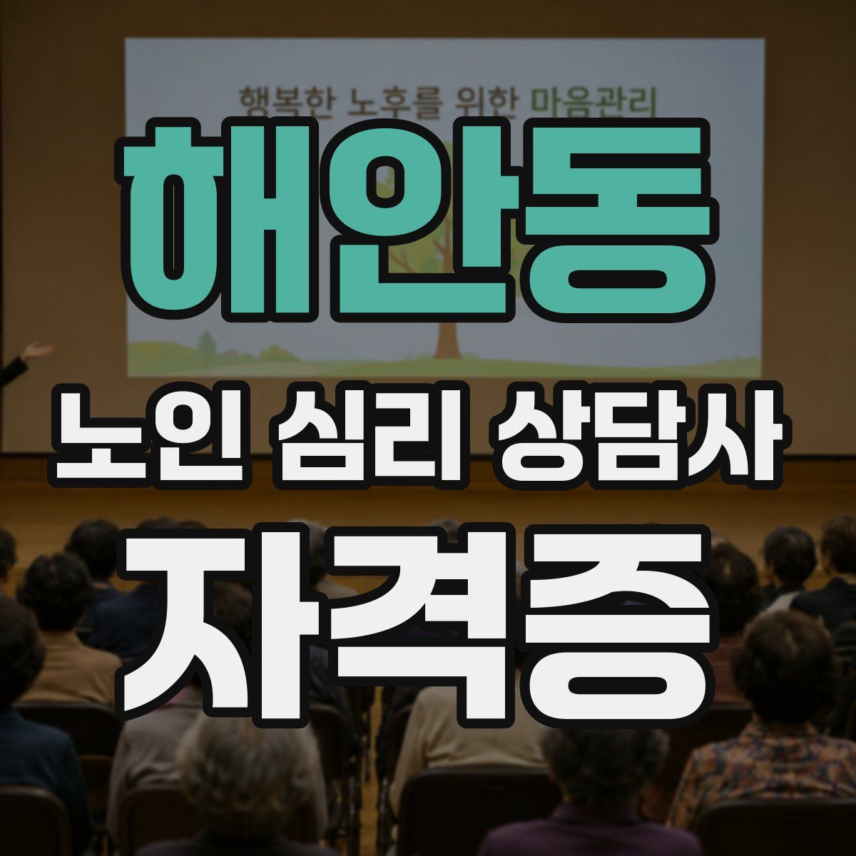 해안동 노인 심리 상담사 자격증
