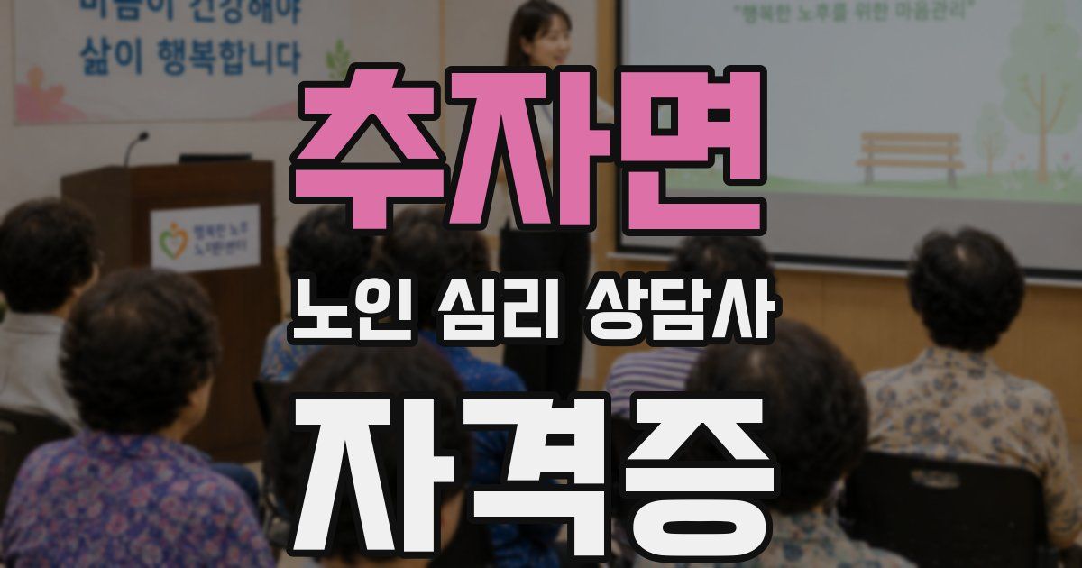 추자면 노인 심리 상담사 자격증