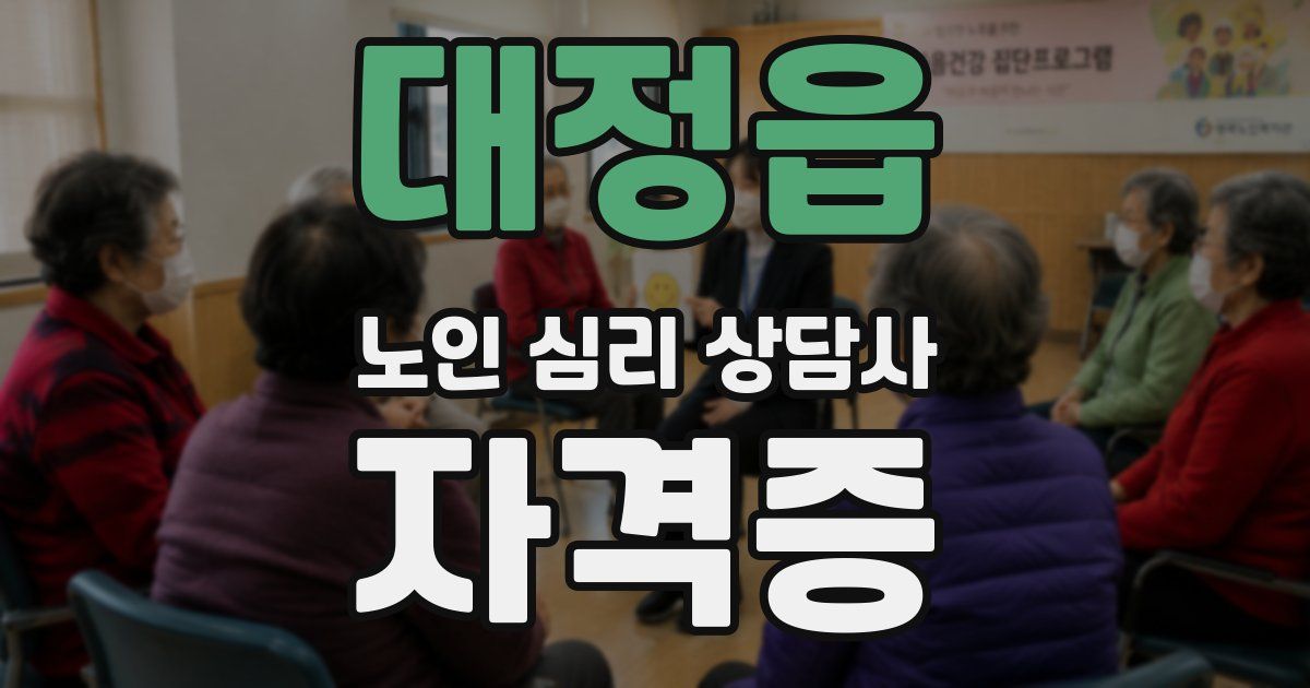 대정읍 노인 심리 상담사 자격증