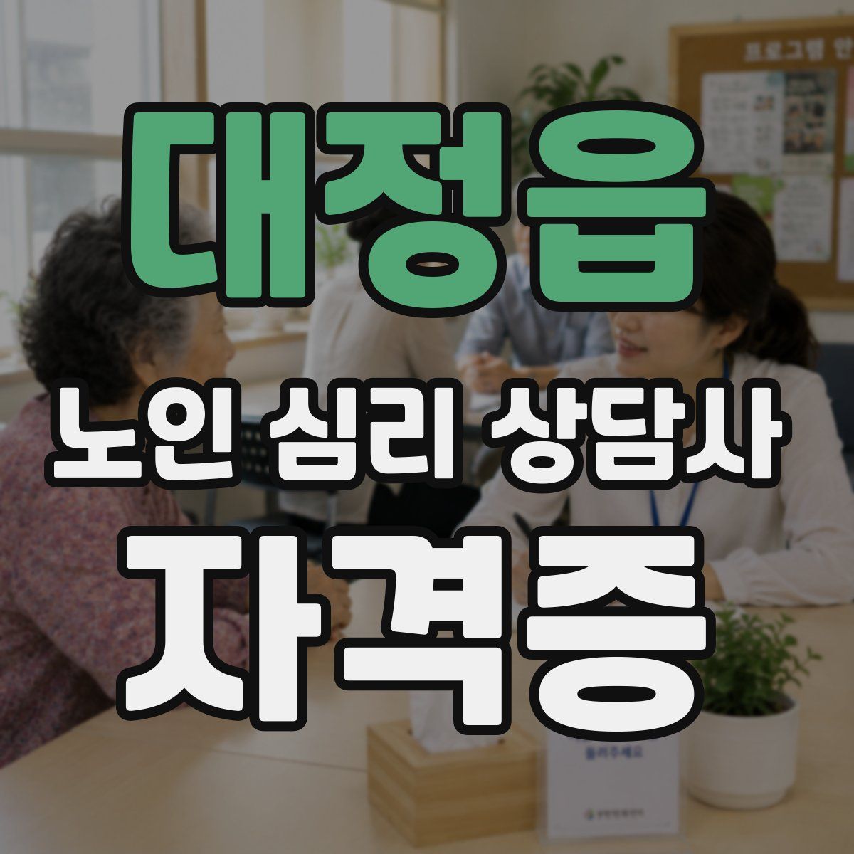 대정읍 노인 심리 상담사 자격증