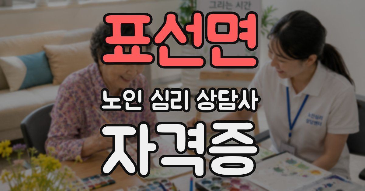 표선면 노인 심리 상담사 자격증