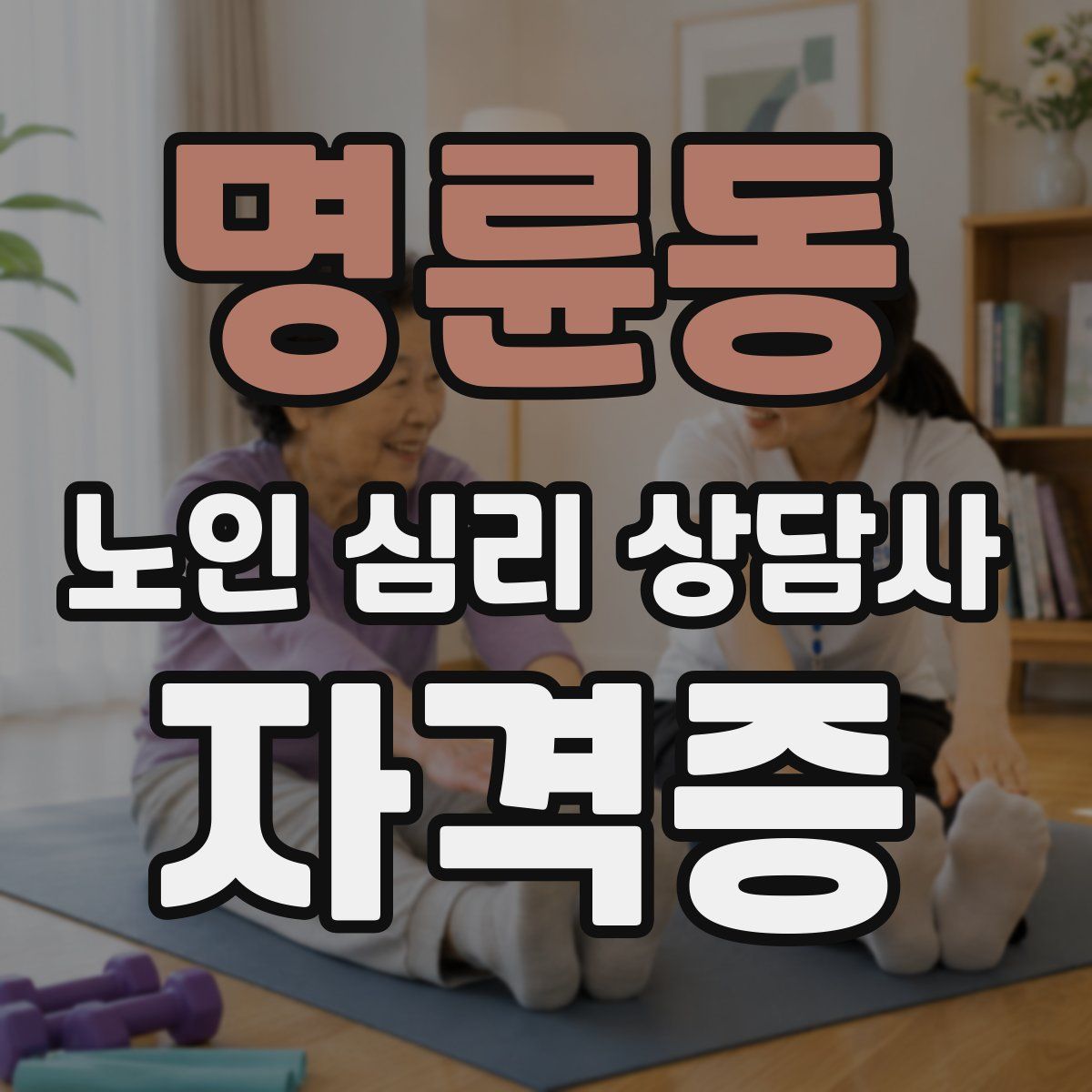 명륜동 노인 심리 상담사 자격증