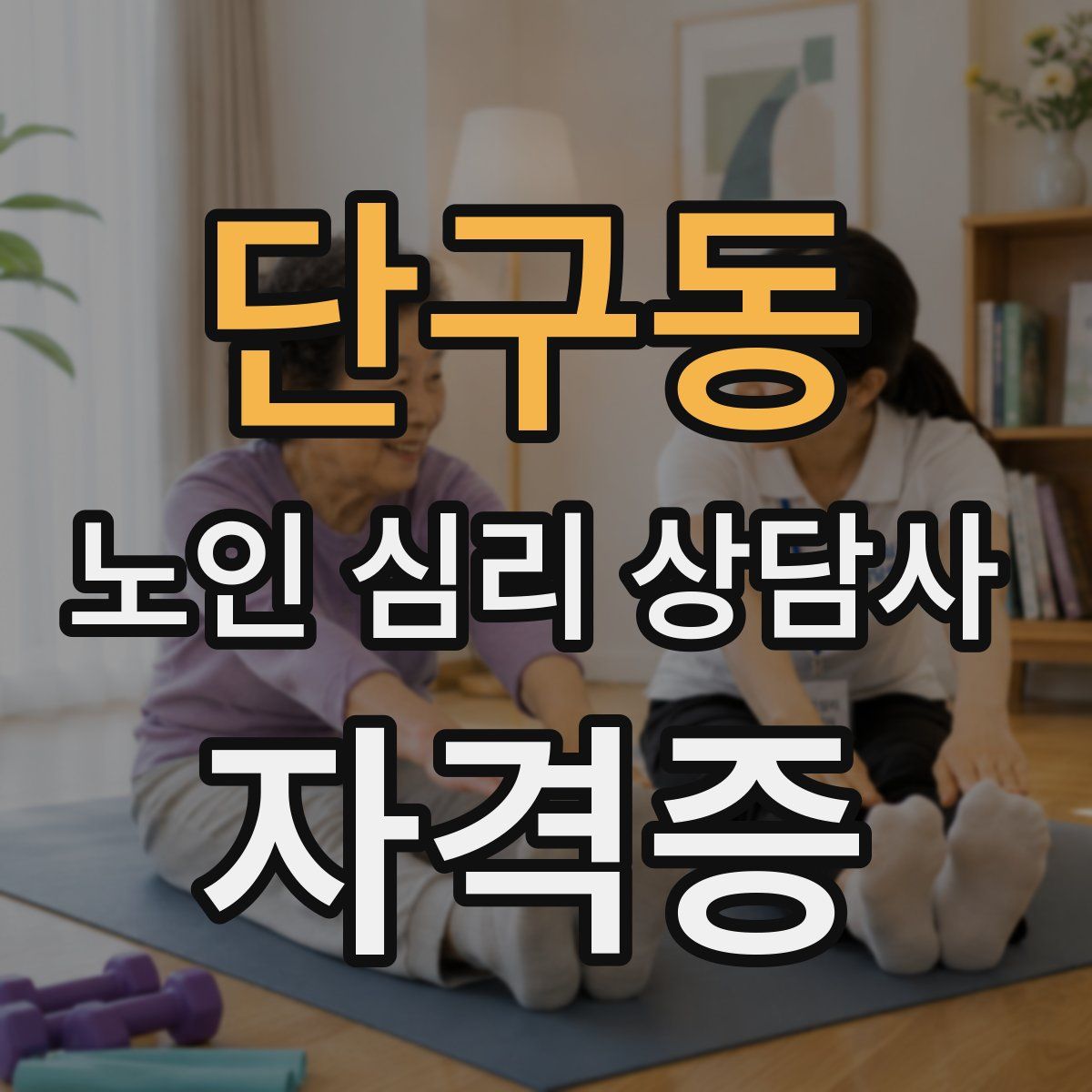 단구동 노인 심리 상담사 자격증