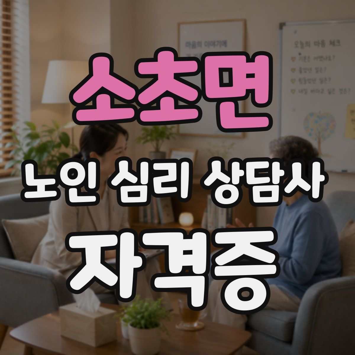 소초면 노인 심리 상담사 자격증