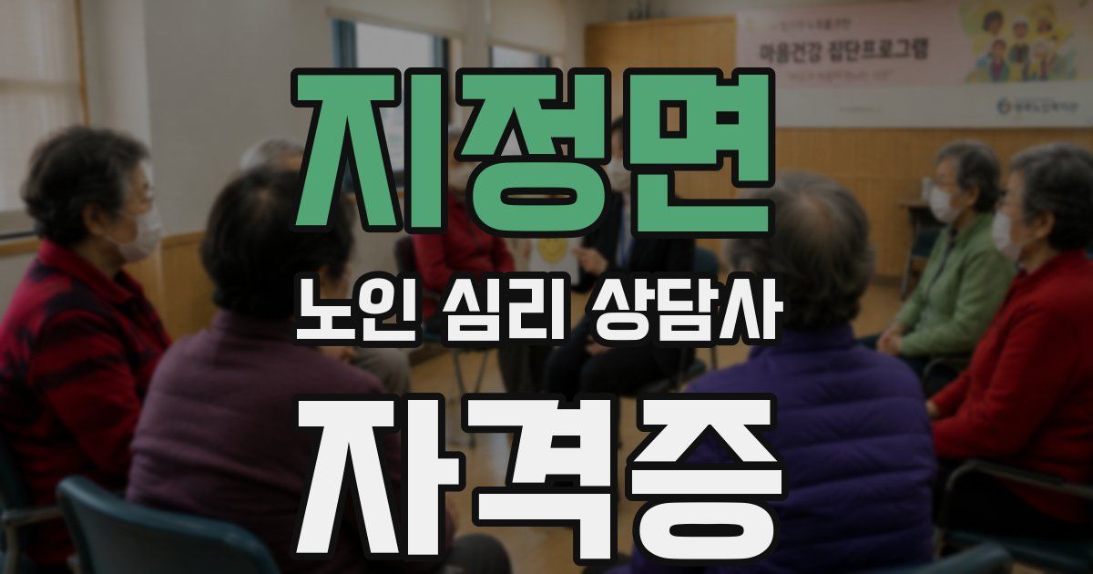 지정면 노인 심리 상담사 자격증